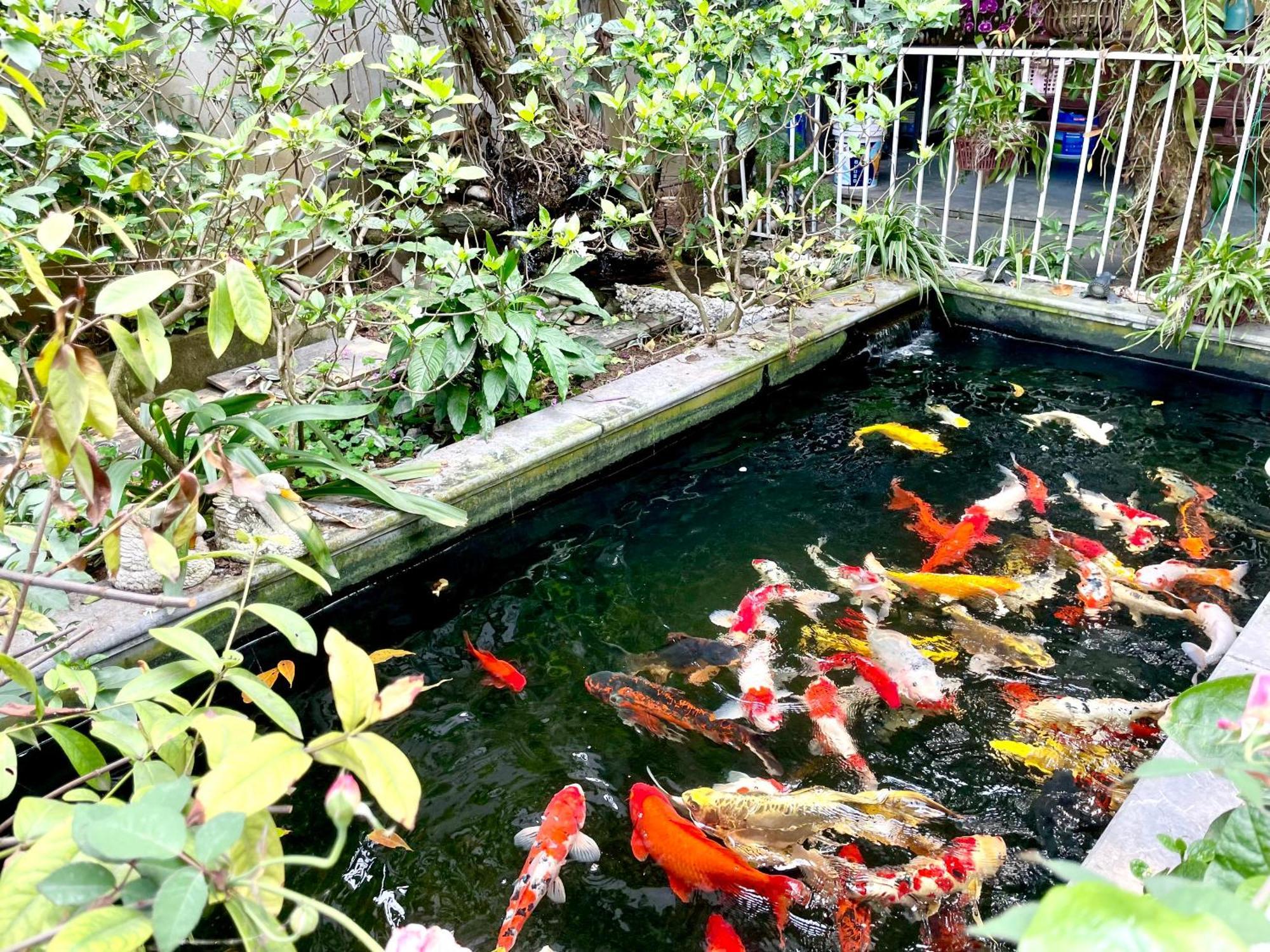 Lee Homestay Hanoi Exterior foto