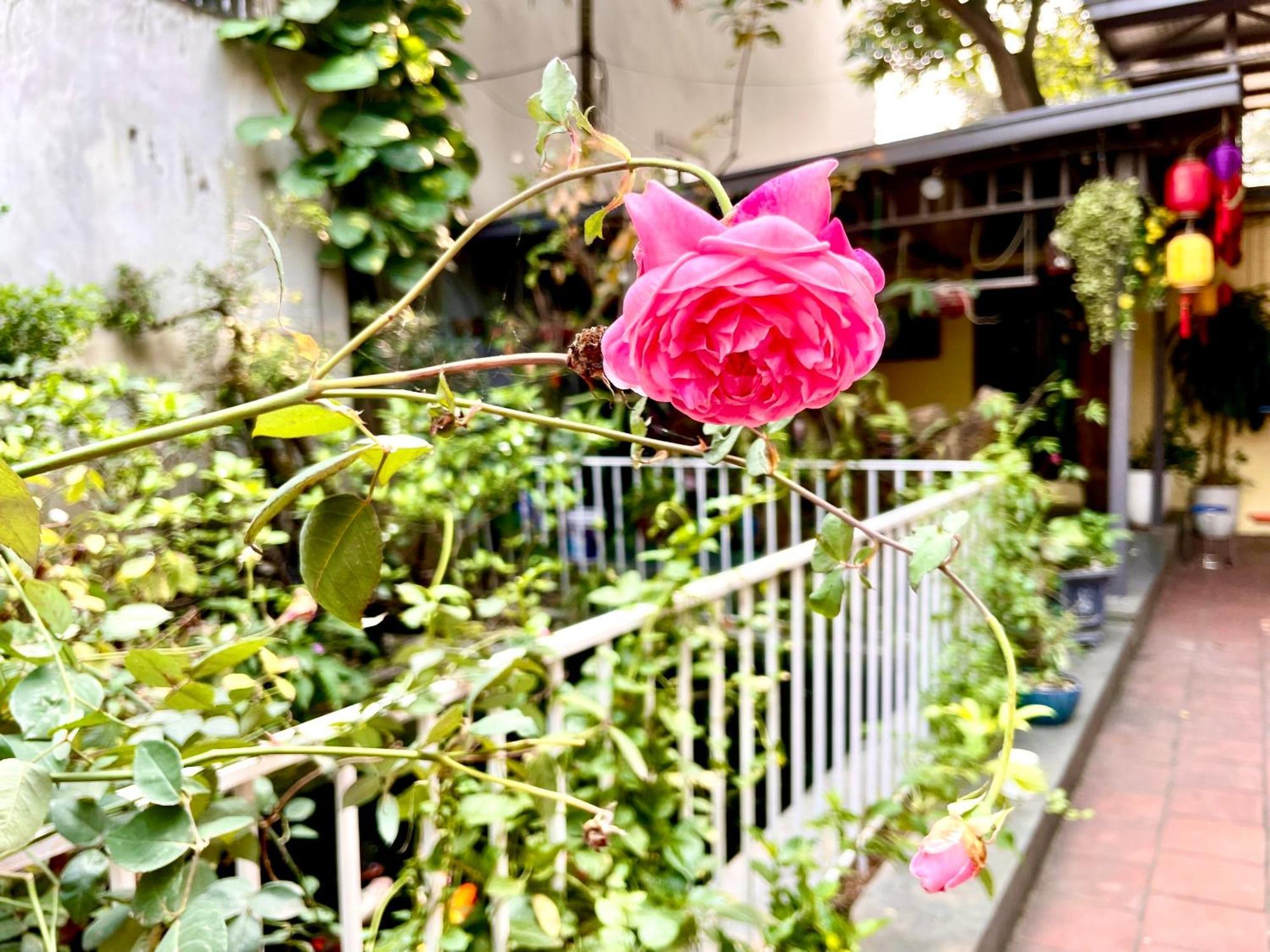 Lee Homestay Hanoi Exterior foto