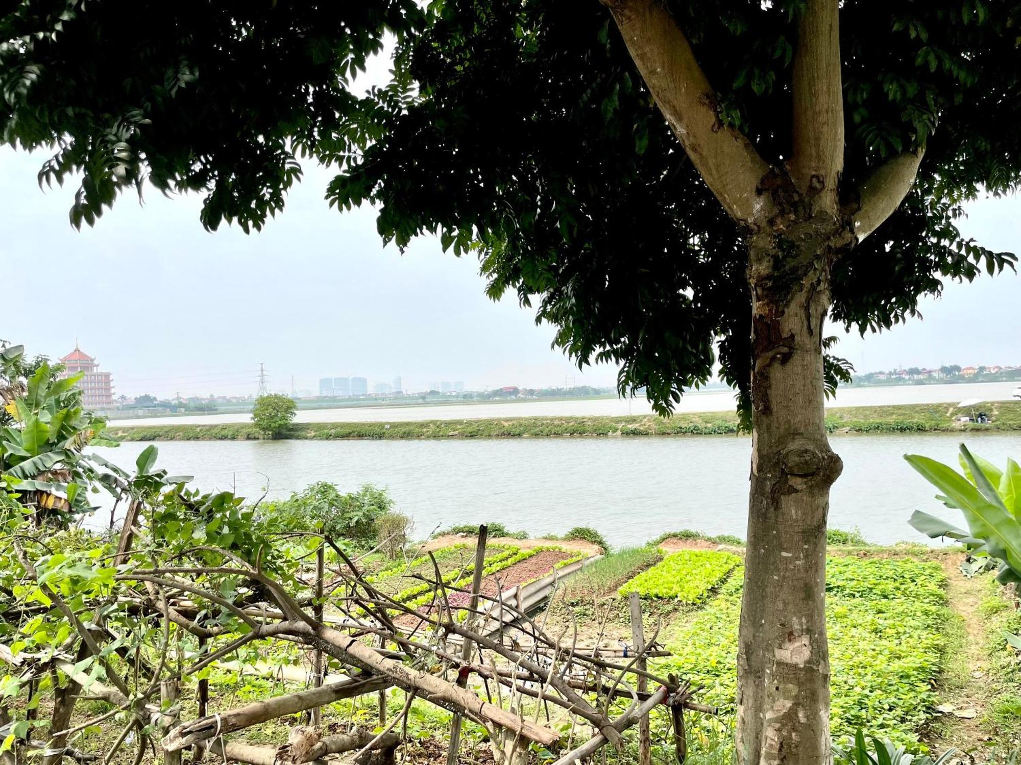 Lee Homestay Hanoi Exterior foto